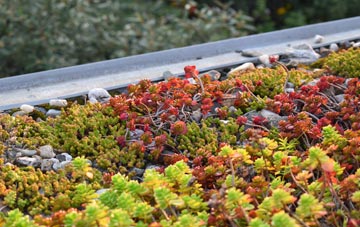 the cost of Ferry Hill green roof installation