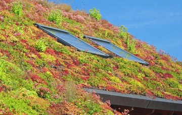 Ferry Hill living roof systems