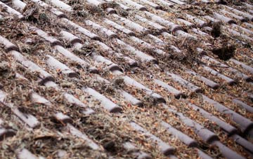 Ferry Hill roof cleaning companies