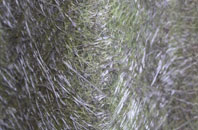 Ferry Hill fibreglass roof work